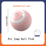 ClassicTSO Huntball - Der intelligente Spielball für Katzen